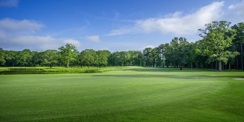 golf article